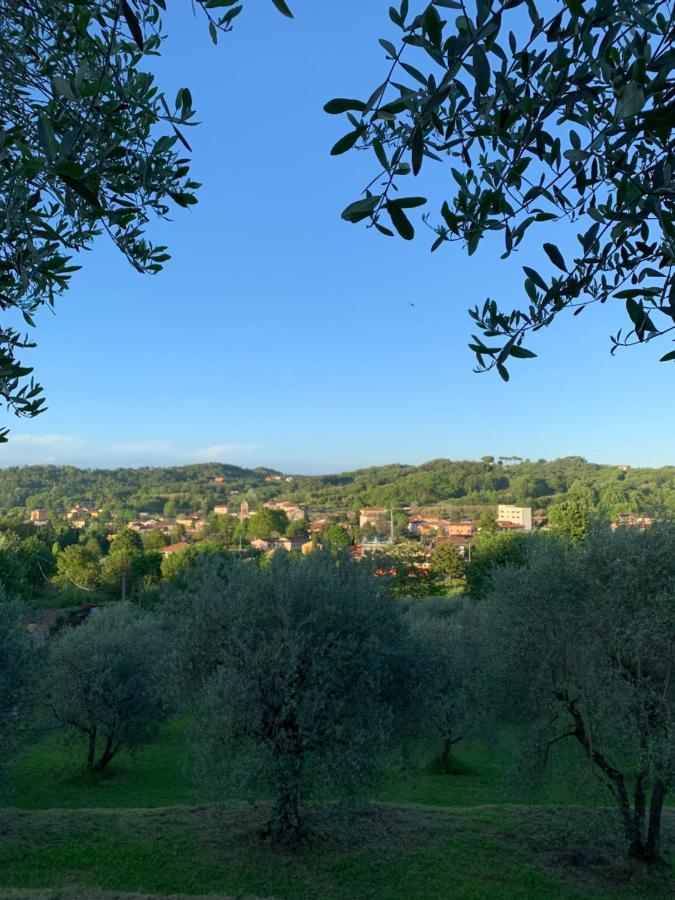 Marziani Rustic Tuscan House Holiday home *