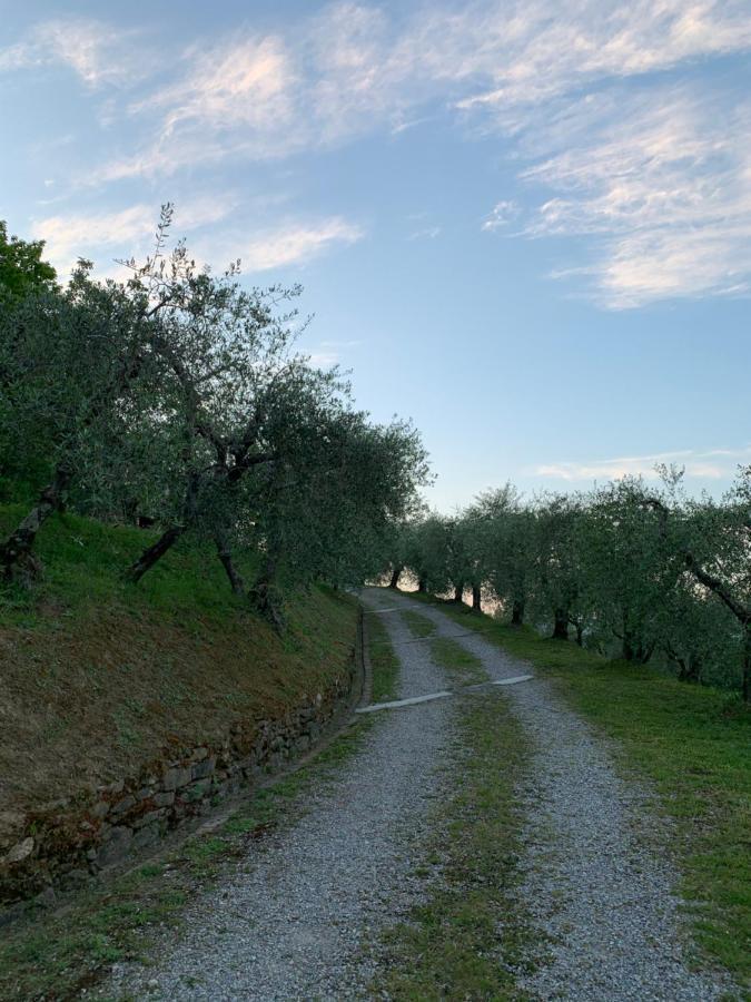 Marziani Rustic Tuscan House Holiday home *